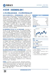 大单品策略成效显著,多品牌矩阵落地在即