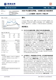 年报点评：2020年业绩符合预期，长期增长动力依然强劲