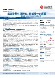 2020年年报点评:逆变器新市场突破,储能进一步拓展