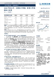 2020年报点评:业绩低于预期,新签订单饱满助力发展