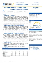 2021年一季报点评：Q1业绩维持高增速，下游景气度持续