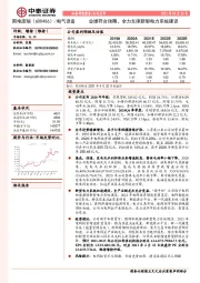 业绩符合预期，全力支撑新型电力系统建设