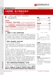药石科技2021Q1点评报告：大超预期，能力突破兑现中