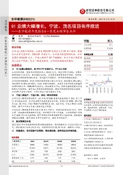 东华能源年度报告&一季度业绩预告点评：Q1业绩大幅增长，宁波、茂名项目有序推进