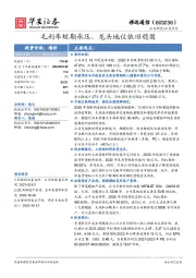 毛利率短期承压，龙头地位依旧稳固