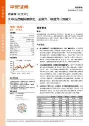 大单品战略持续推进，品牌力、渠道力日益提升