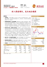 收入高速增长，龙头地位稳固
