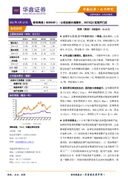 公司业绩大幅增长，2021Q1实现开门红