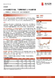 2020年年报点评:20年业绩扭亏为盈,下游需求复苏21年业绩可期