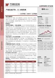 点评报告：产能高速扩张，Q1业绩亮眼