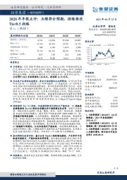 2020年年报点评:业绩符合预期,持续推进Tier0.5战略