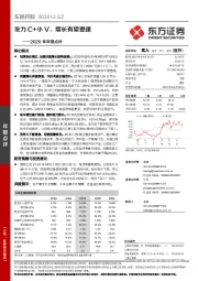 2020年年报点评：发力C+小V，增长有望提速