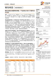 营收利润双高增表现亮眼，产品结构升级打开盈利成长空间