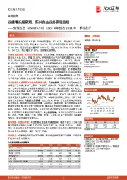 2020年年报及2021年一季报点评：业绩增长超预期，新兴安全业务表现抢眼