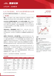 2021年一季报点评:大尺寸出货稳定,新产品有望增厚未来业绩