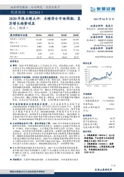 2020年报业绩点评：业绩符合市场预期，复苏增长趋势明显