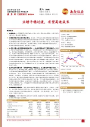 2020年年报点评：业绩平稳过渡，有望高速成长