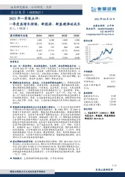 2021年一季报点评：一季度高增长持续，新能源、新基建推动成长