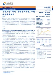 年报点评：游戏、营销齐头并进，业绩保持高速增长