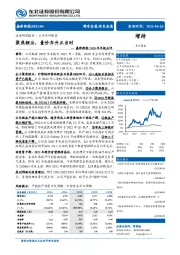 盛新锂能2020年年报点评：聚焦锂业，量价齐升正当时