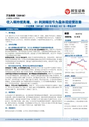 2020年年报及2021年一季报点评：收入端持续高增，Q1利润端扭亏为盈体现经营改善