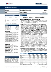 2020年年报点评：疫情承压，定增及资产优化迎接疫后复苏