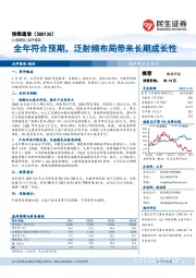全年符合预期,泛射频布局带来长期成长性