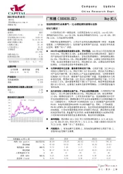 受益物联网行业高景气，1Q业绩延续快速增长态势