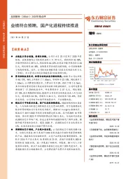 2020年报点评：业绩符合预期，国产化进程持续推进