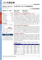 公司信息更新报告：行业景气向好，核心产品份额稳步提升