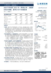 2020年年报及2021年1季报点评：业绩符合我们预期，看好公司中长期发展