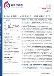 盈利能力显著提升、公司迎量价齐升；长期受益国内外碳中和