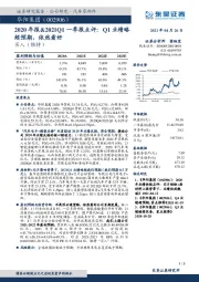 2020年报&2021Q1一季报点评:Q1业绩略超预期,依然看好