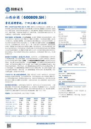 青花高增势起，十四五踏入新征程