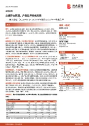 2020年年报及2021年一季报点:业绩符合预期,产品边界持续拓展