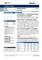 2020年年报点评:20年新开店达标 21年关注同店恢复与开店加速