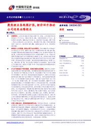 聚焦锂业务规模扩张，锂价回升推动公司迎来业绩拐点
