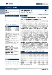 20年年报和21年一季报点评：更强的执行力和更迅猛的增长势头，打开全新成长空间