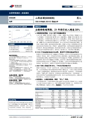 2020年年报及2021Q1季报点评:业绩持续超预期,21年指引收入增速30%