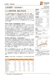 21Q1业绩符合预期，重视公司成长性