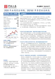 2020年业绩符合预期,2021Q1单季营收创新高
