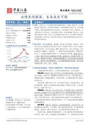 业绩表现靓丽，未来成长可期