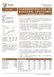 2020年报及2021一季报点评:Q1盈利创历史新高,力争全年利润翻倍