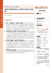 2020年报点评：自研代理双轮驱动，自研产品进入收获期