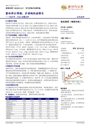 2020年、21Q1业绩点评:整体符合预期,多领域快速增长