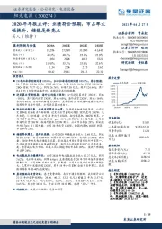 2020年年报点评：业绩符合预期，市占率大幅提升，储能是新亮点