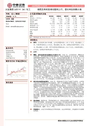 磷肥及有机硅推动盈利上行，湿化学品销量大增