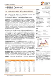 21Q1营收创历史新高，大量备货+糖价上行奠定全年高增长基础