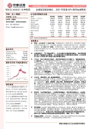 业绩呈现强劲增长，2021年迎接API+制剂加速释放