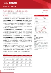 2020年年报点评：光伏逆变器龙头，未来储能行业领袖